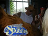 Running of the Bull in Dewey Beach