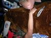 Running of the Bull in Dewey Beach
